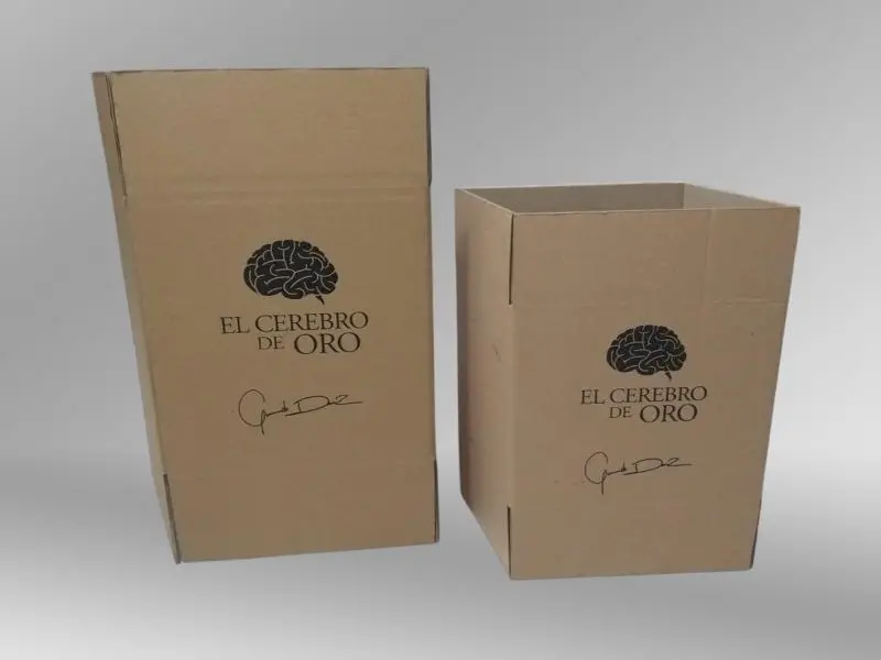 CAJA PARA  logistica